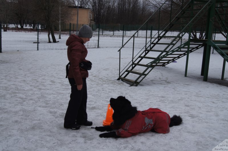 Фотография № 176769