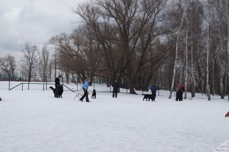 Фотография № 176771