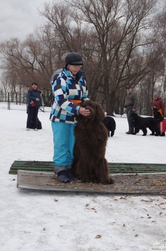 Фотография № 176773