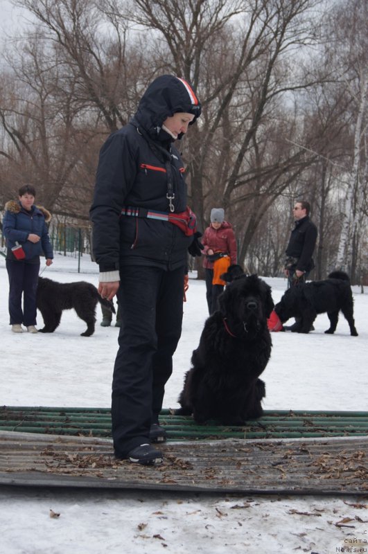 Фотография № 176774