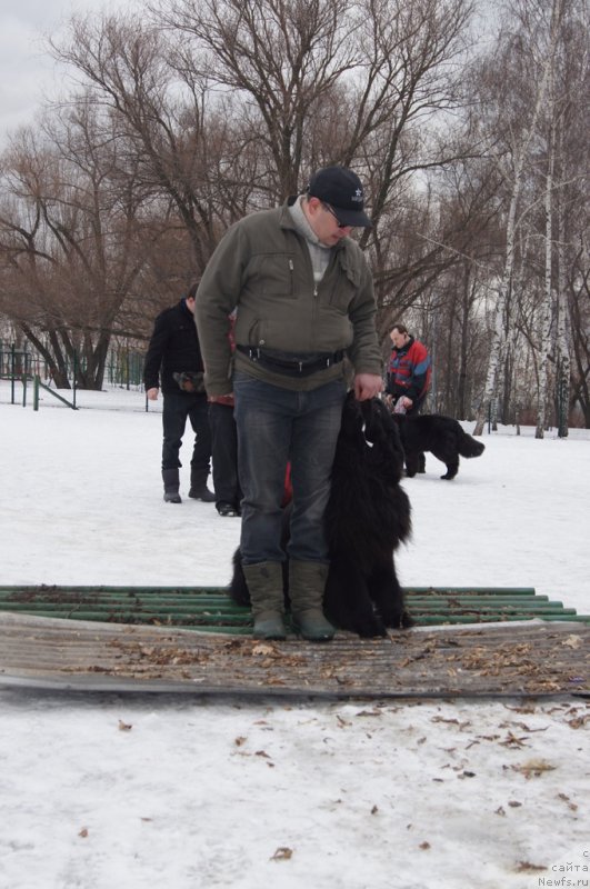 Фотография № 176776