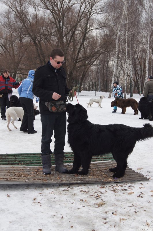 Фотография № 176777