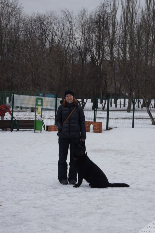 Фотография № 176779