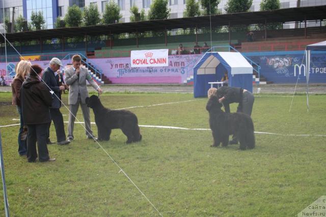 Фотография № 17678