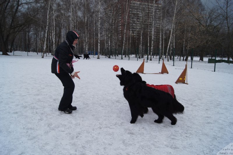 Фотография № 176786