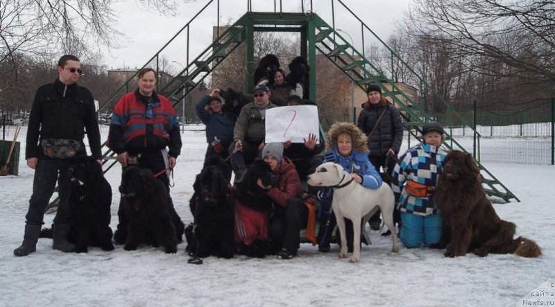 Фотография № 176788