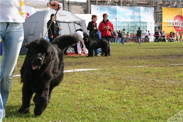 Фотография № 17684