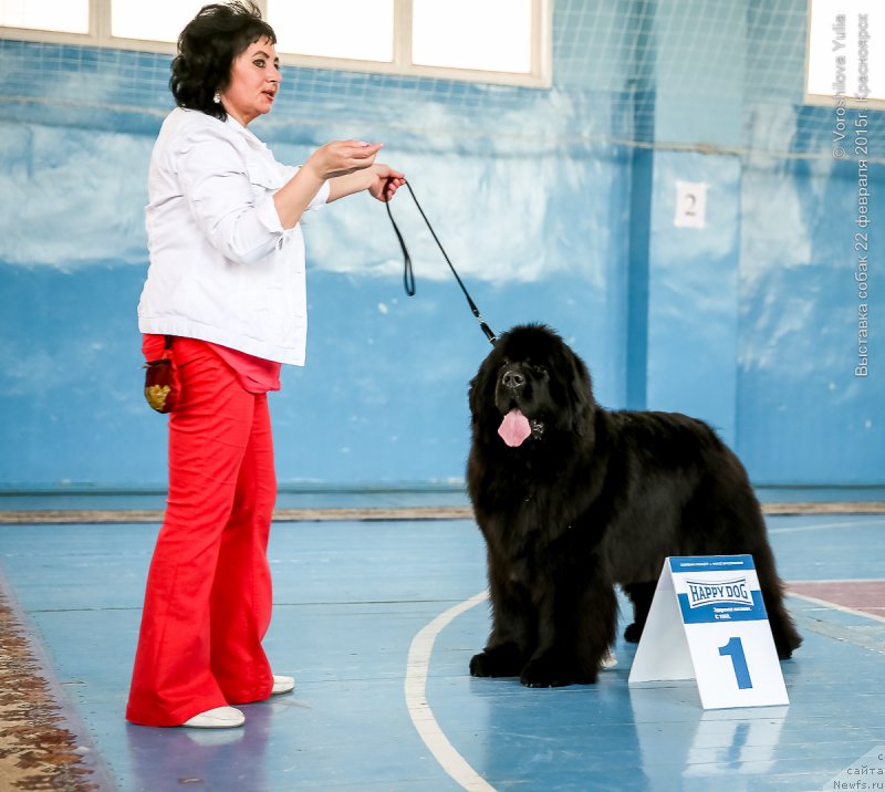 Фотография № 176888