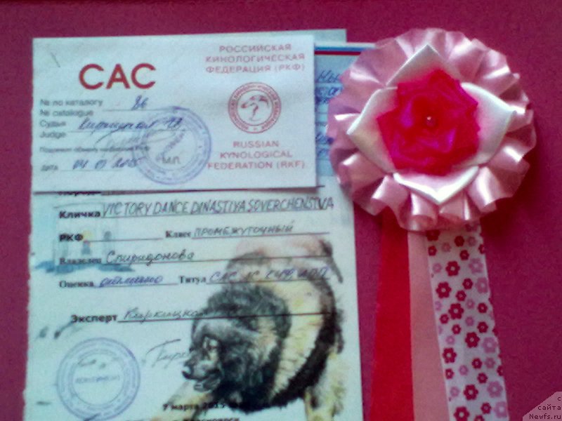 Фотография № 176890