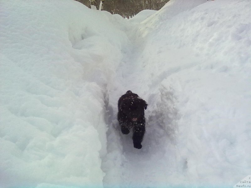 Фотография № 176916