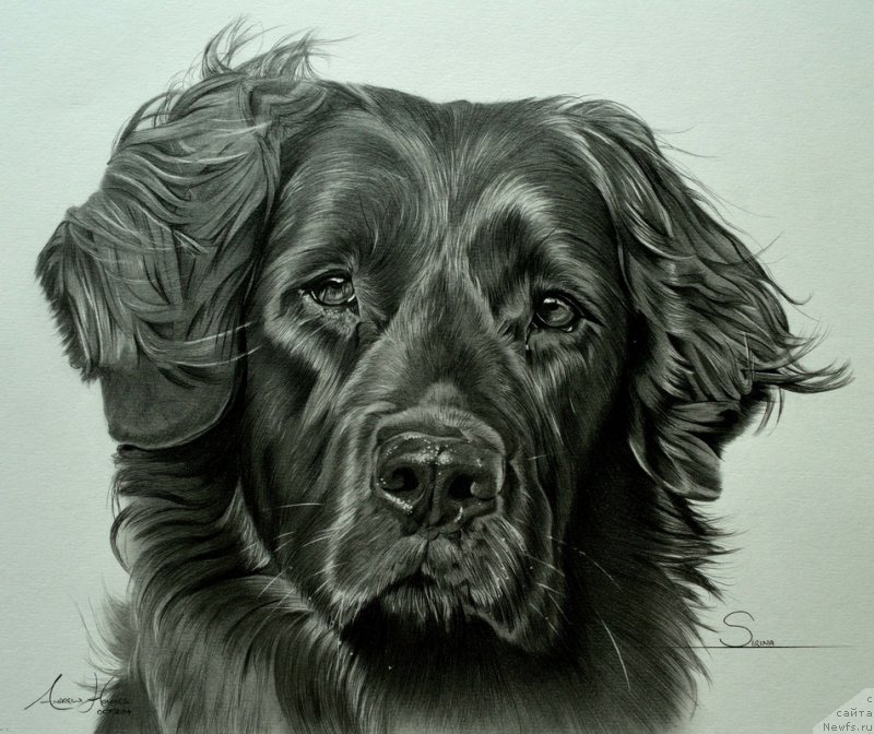 Фотография № 176924