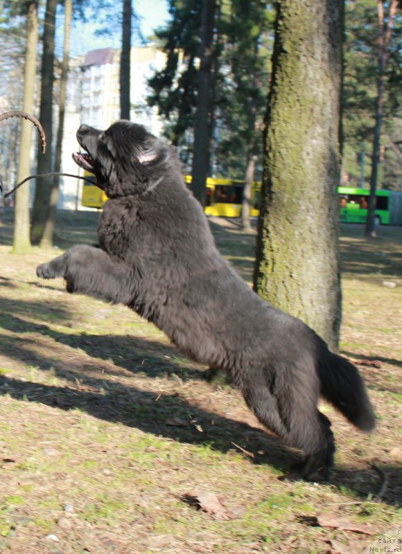 Фотография № 176957