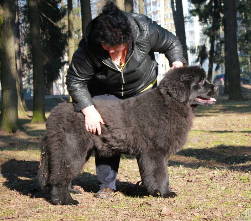 Фотография № 176959