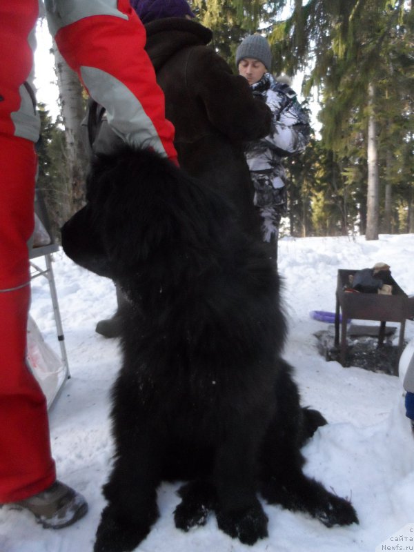 Фотография № 176978