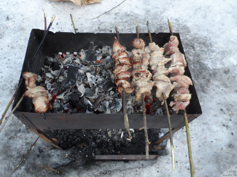 Фотография № 176981