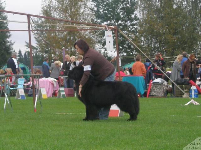 Фотография № 17701