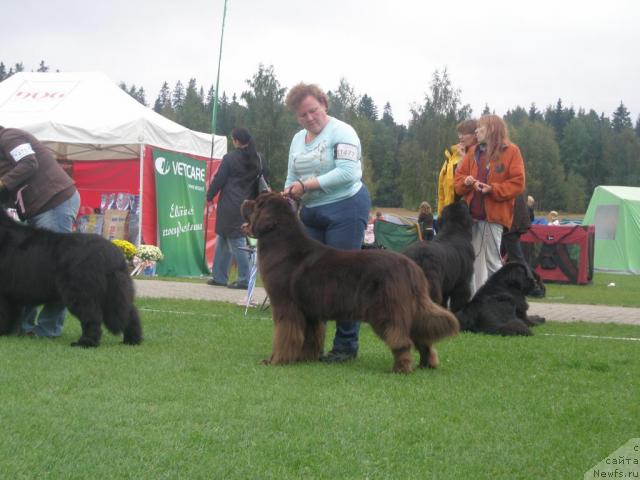 Фотография № 17702