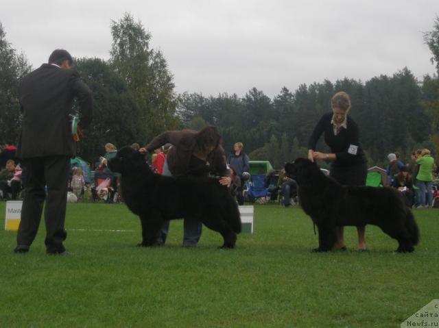 Фотография № 17704