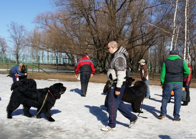 Фотография № 177085