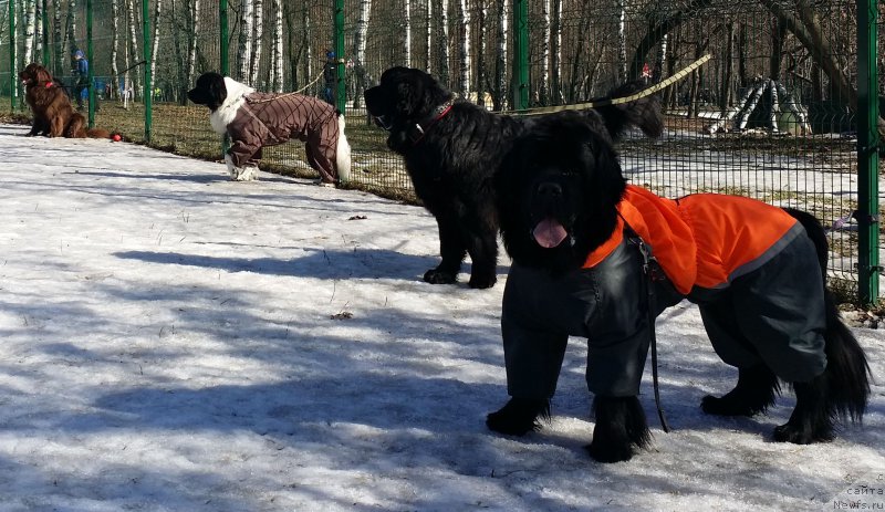 Фотография № 177089