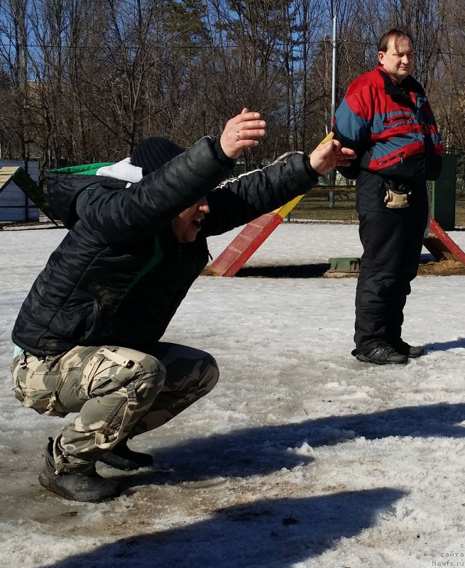 Фотография № 177097