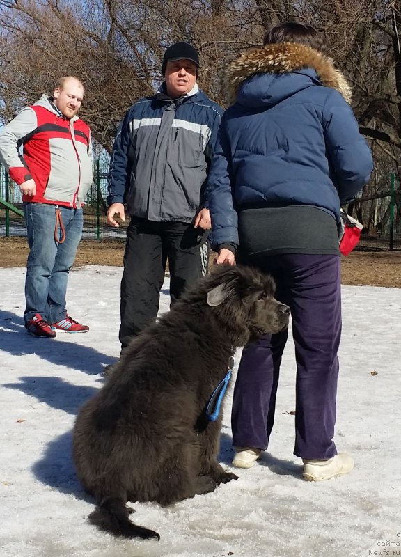 Фотография № 177098