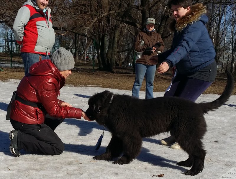 Фотография № 177100