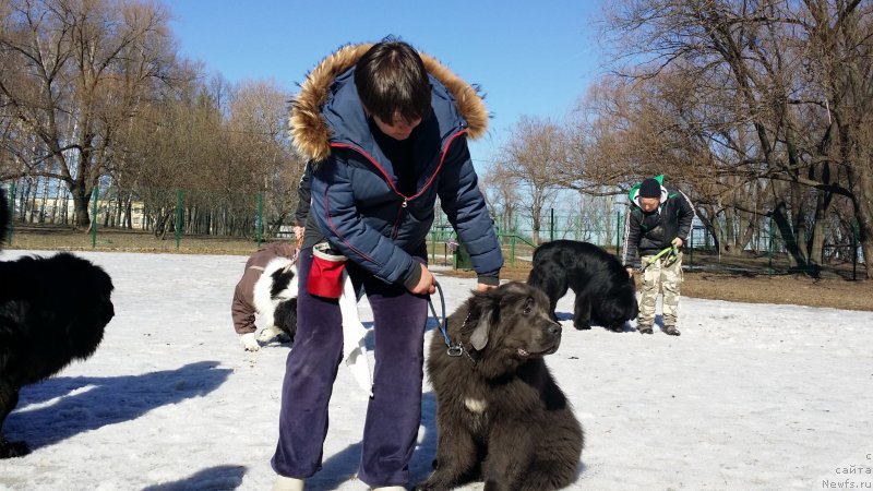 Фотография № 177103