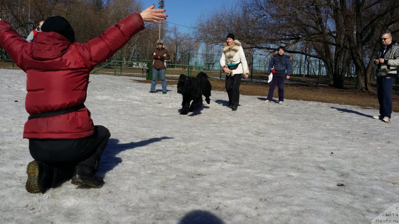 Фотография № 177107