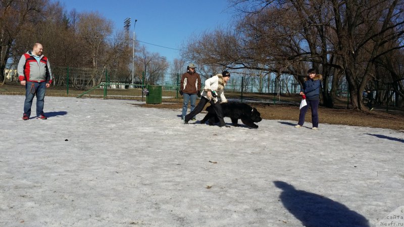 Фотография № 177108