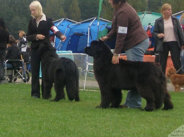 Фотография № 17711