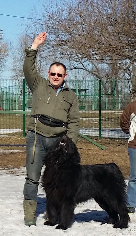 Фотография № 177113