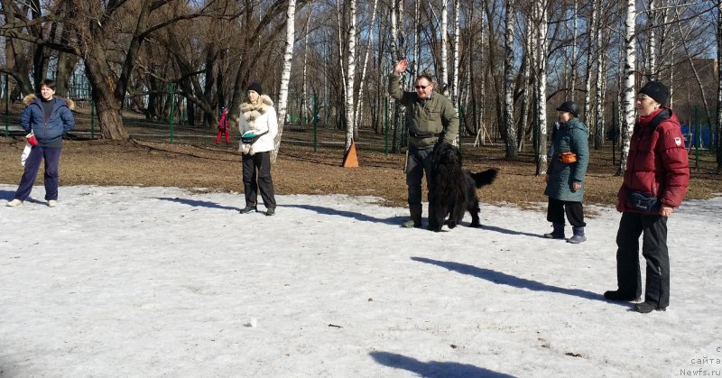 Фотография № 177116