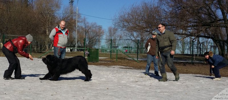 Фотография № 177119