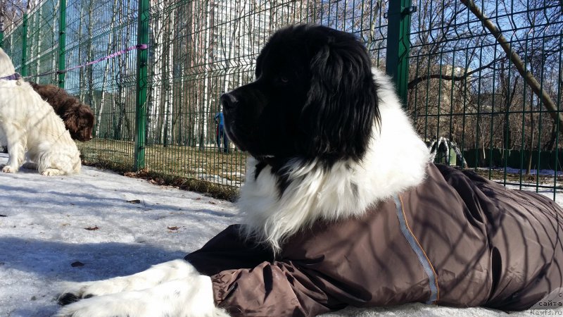 Фотография № 177123