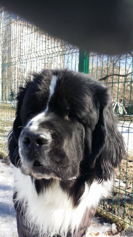 Фотография № 177124