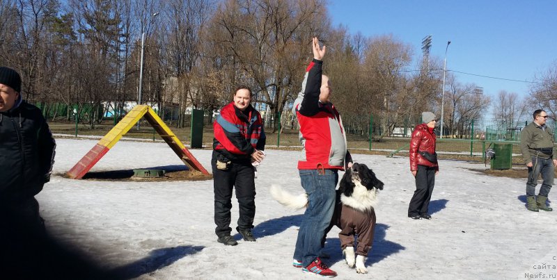 Фотография № 177125