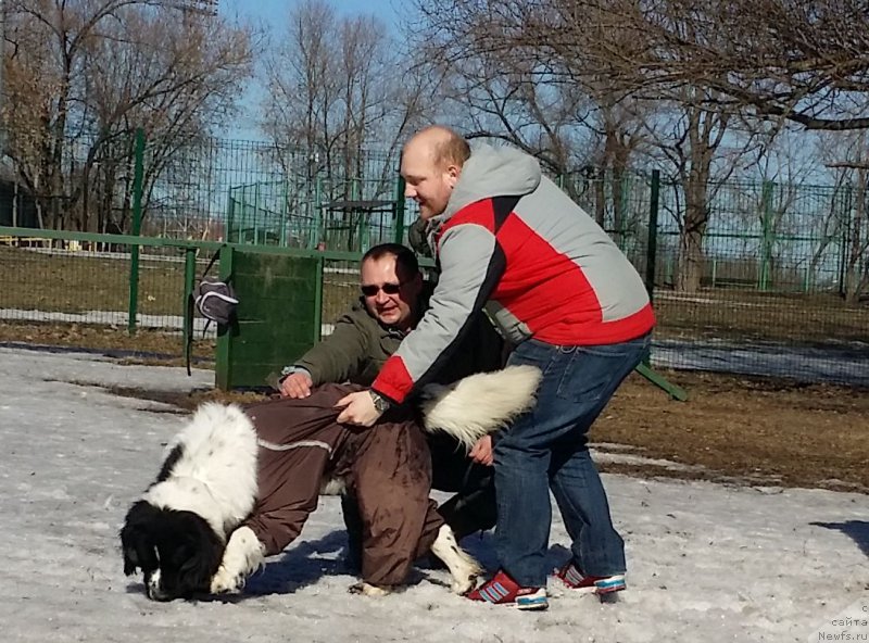 Фотография № 177128