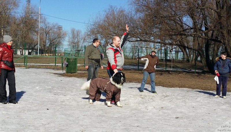 Фотография № 177129