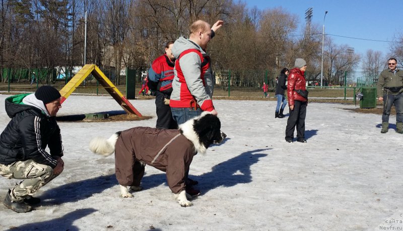 Фотография № 177132