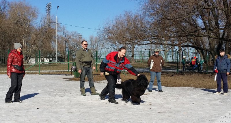 Фотография № 177135