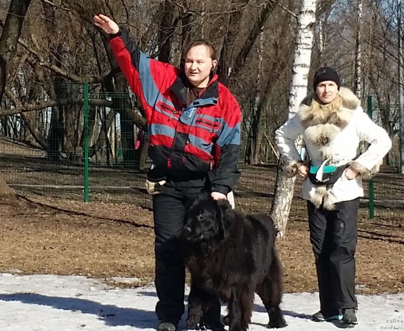 Фотография № 177140