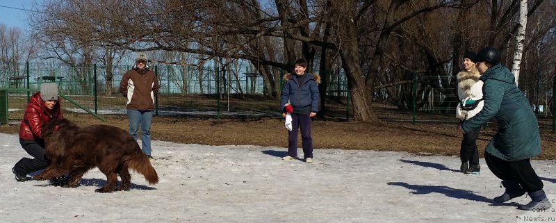 Фотография № 177142