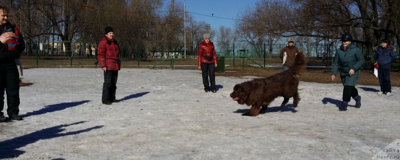 Фотография № 177144