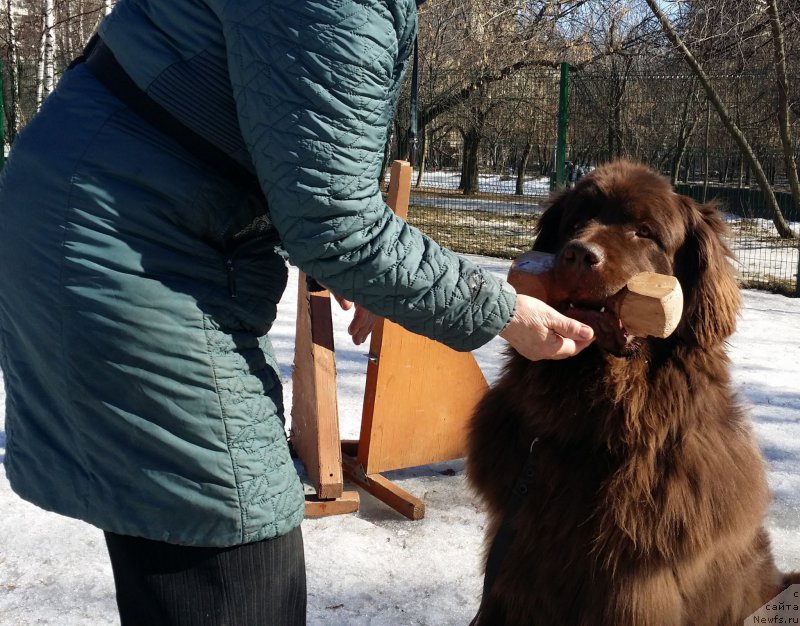 Фотография № 177148