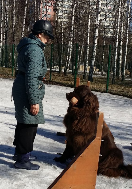 Фотография № 177150