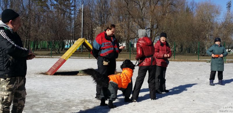 Фотография № 177165