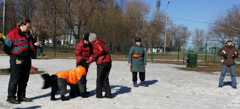 Фотография № 177166