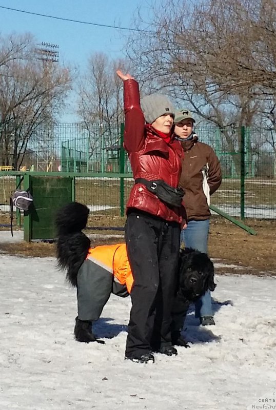 Фотография № 177167