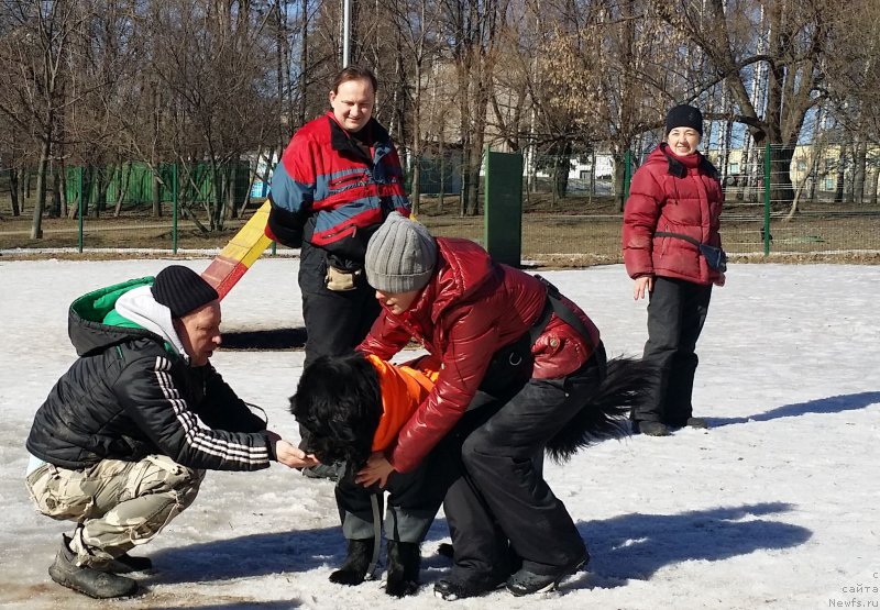 Фотография № 177168